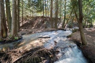 341xx N Blanchard Creek Rd, Elk, WA 99009