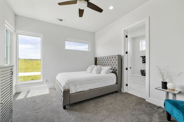 313 Ryker Lane, Gunter, TX 75058