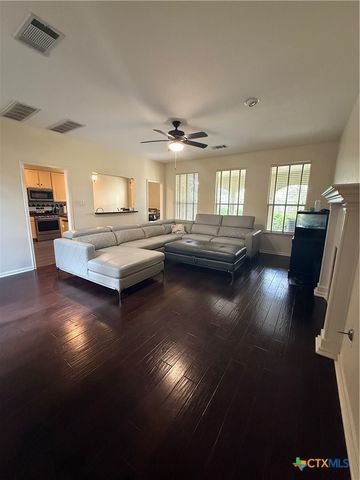 310 N Carriage Hills Drive, Georgetown, TX 78626