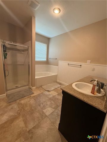 310 N Carriage Hills Drive, Georgetown, TX 78626