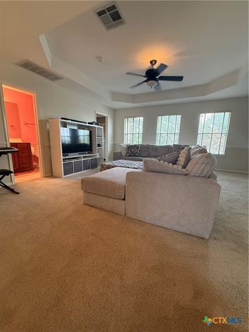 310 N Carriage Hills Drive, Georgetown, TX 78626