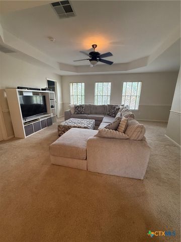 310 N Carriage Hills Drive, Georgetown, TX 78626