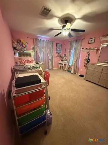 310 N Carriage Hills Drive, Georgetown, TX 78626