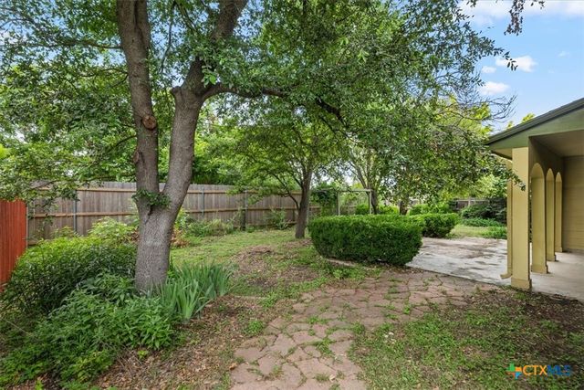 310 N Carriage Hills Drive, Georgetown, TX 78626