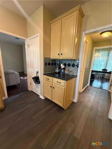 310 N Carriage Hills Drive, Georgetown, TX 78626