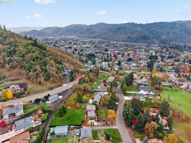 413 THORA CIRCLE Dr, Winchester, OR 97495