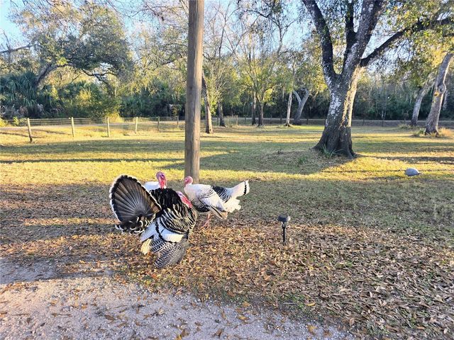 2207 SW BLOSSOM AVENUE, Arcadia, FL 34266