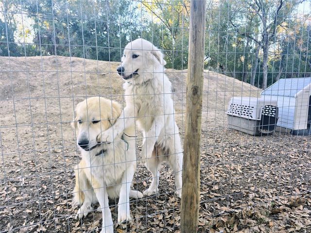 2207 SW BLOSSOM AVENUE, Arcadia, FL 34266