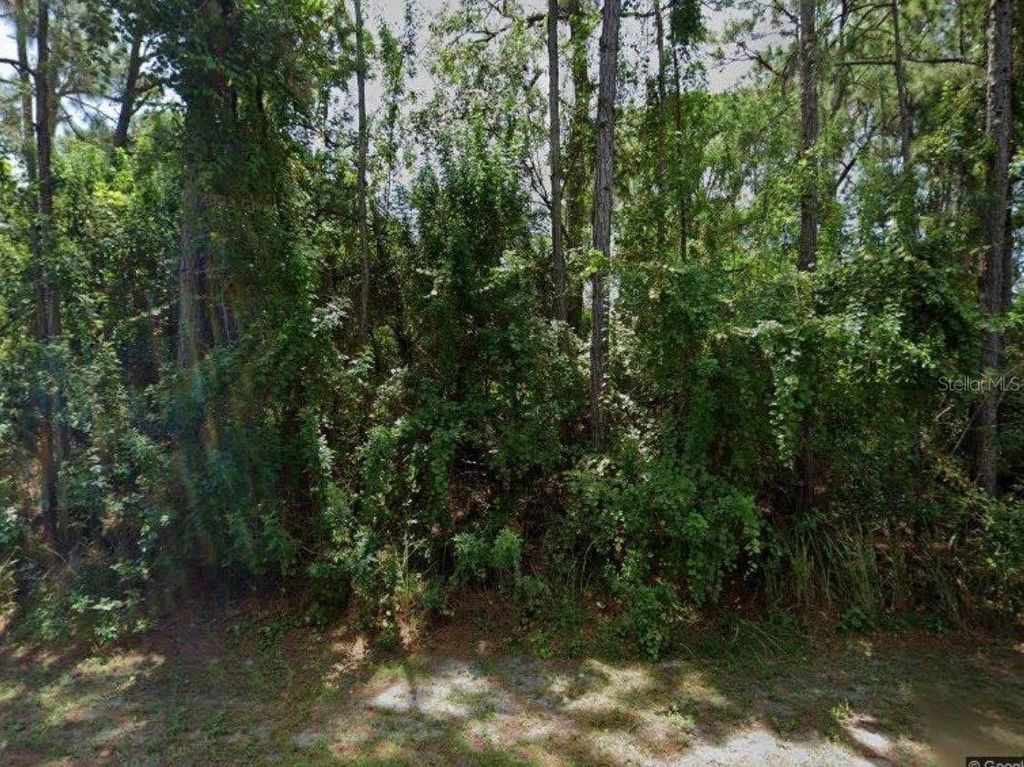 1250 GINGOLD STREET NW, Palm Bay, FL 32907
