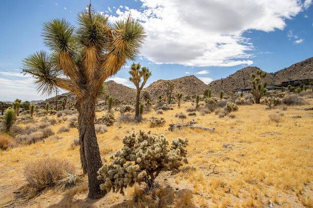 8021 Wesley Road, Joshua Tree, CA 92252