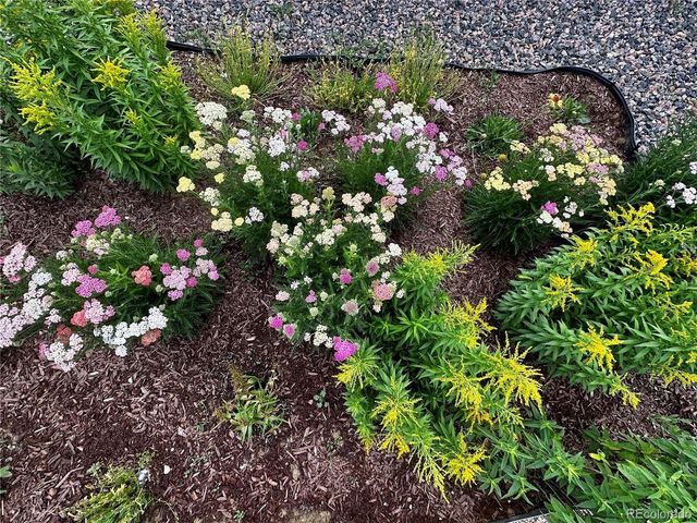 6578 Westcliff Dr, Frederick, CO 80516