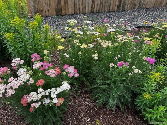 6578 Westcliff Dr, Frederick, CO 80516