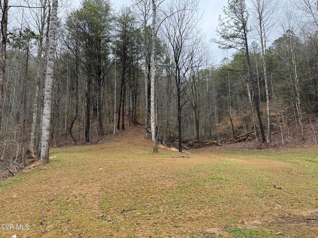 471 Early Branch Road, Rogersville, TN 37857