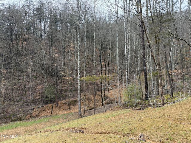 471 Early Branch Road, Rogersville, TN 37857