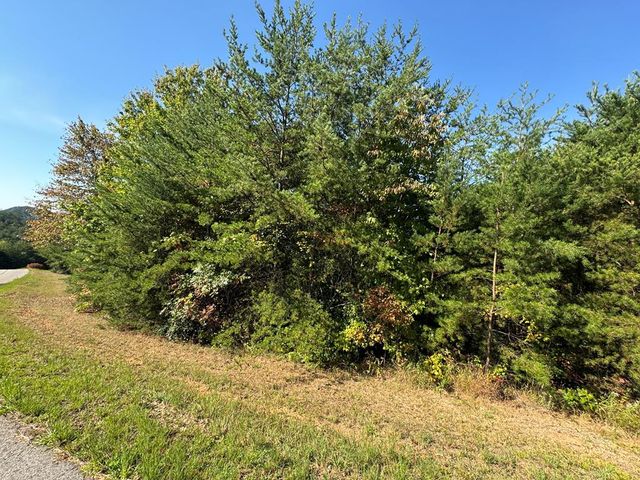 283 Golden Eagle Circle, Turtletown, TN 37391