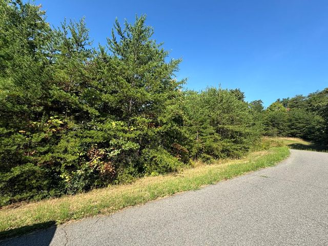 283 Golden Eagle Circle, Turtletown, TN 37391