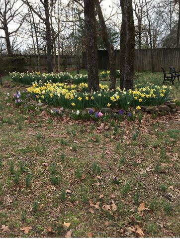 11 Suncrest Drive, Cabot, AR 72023