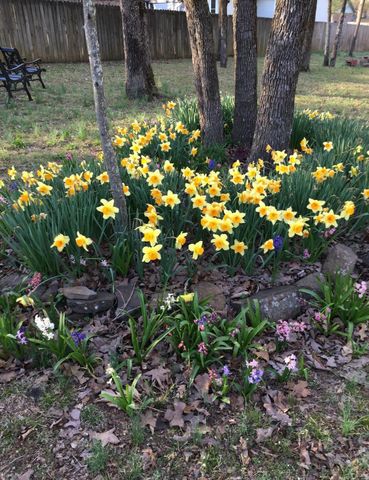 11 Suncrest Drive, Cabot, AR 72023