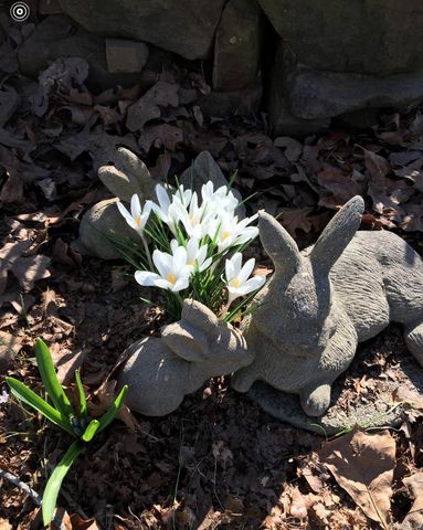 11 Suncrest Drive, Cabot, AR 72023