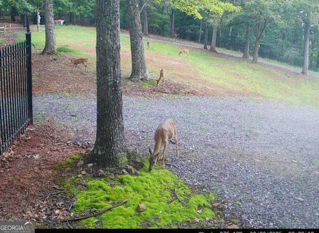 0 Stancil Dyer Road, Dahlonega, GA 30533