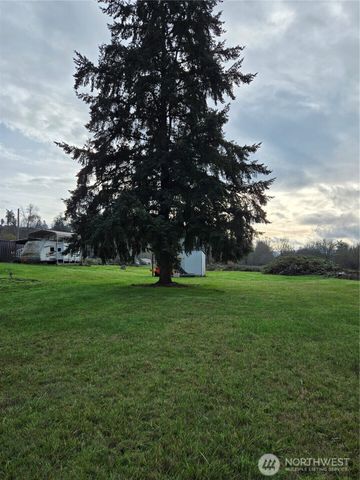 1466 Ferrier Road, Winlock, WA 98596