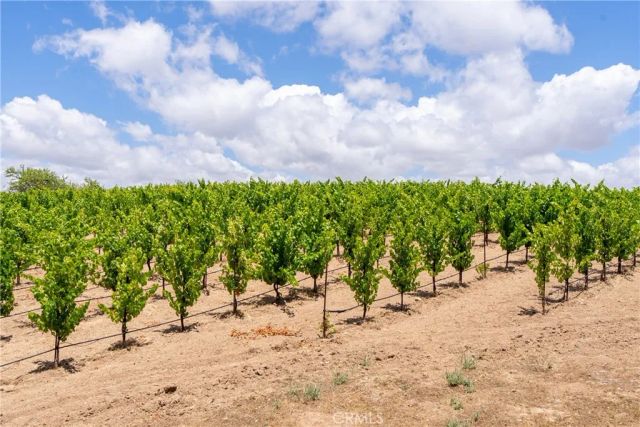 1618 Kiler Canyon, Paso Robles, CA 93446