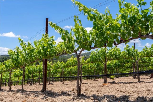 1618 Kiler Canyon, Paso Robles, CA 93446