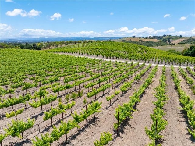 1618 Kiler Canyon, Paso Robles, CA 93446