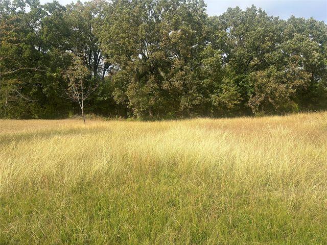 46 Kanakoa Drive, Tool, TX 75143