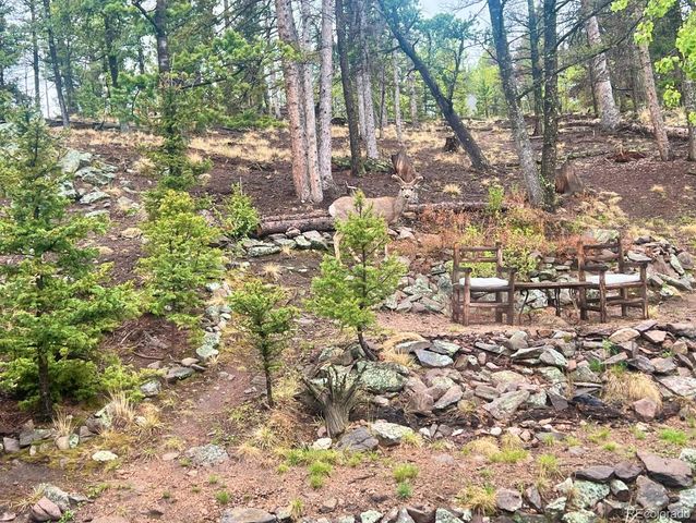 71 Red Cloud Drive, Como, CO 80432