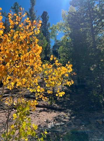 71 Red Cloud Drive, Como, CO 80432