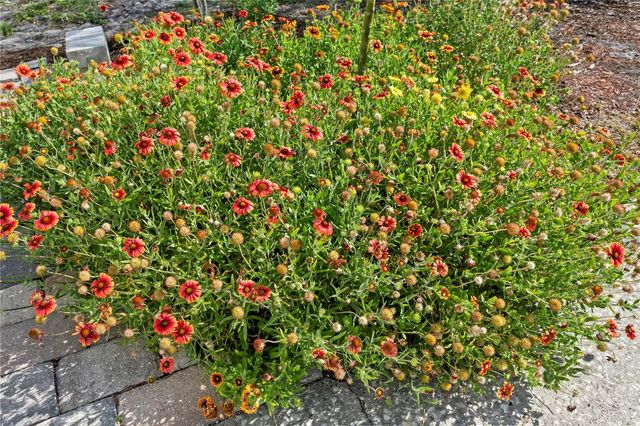 3140 PRESCOTT STREET N, St Petersburg, FL 33713