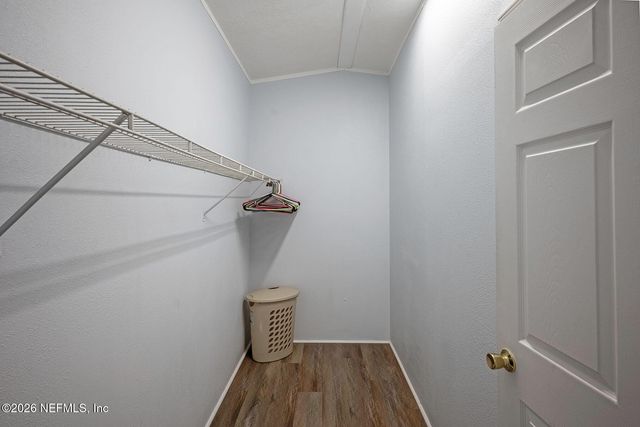 4653 CALENDULA Avenue, Middleburg, FL 32068