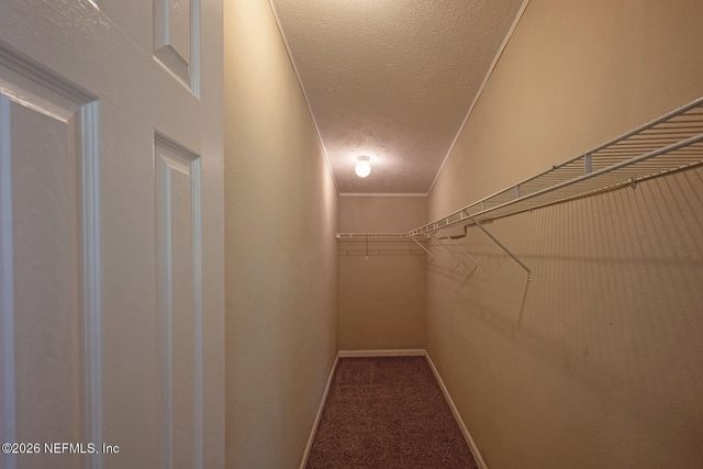 4653 CALENDULA Avenue, Middleburg, FL 32068