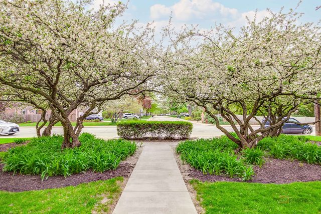 809 E Miner Street 3B, Arlington Heights, IL 60004