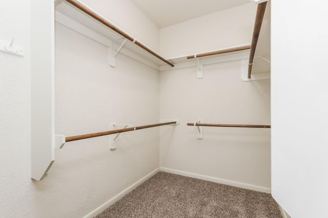 20836 Sheridan Heights Lane, Porter, TX 77365