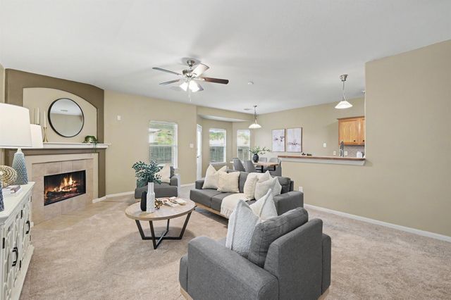 25203 Spring Iris Lane, Katy, TX 77494