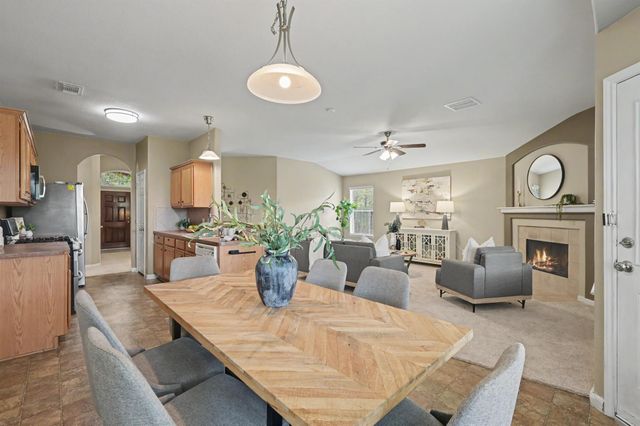 25203 Spring Iris Lane, Katy, TX 77494