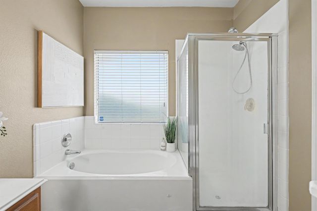 25203 Spring Iris Lane, Katy, TX 77494