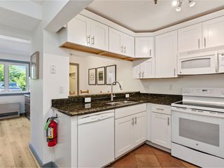 337 College St Apt 5, Burlington, VT 05401