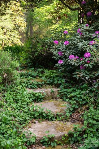 18 Forest Road, Asheville, NC 28803