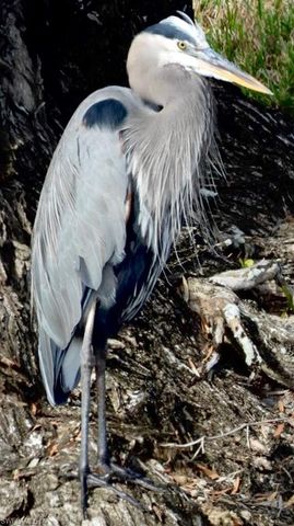 6986 Winkler RD, Fort Myers, FL 33919