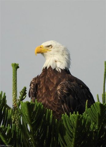 6986 Winkler RD, Fort Myers, FL 33919