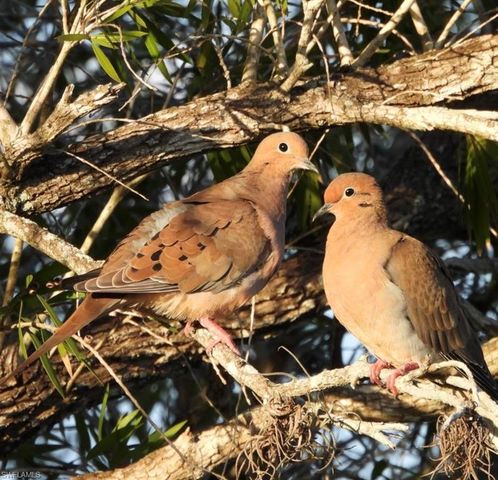 6986 Winkler RD, Fort Myers, FL 33919