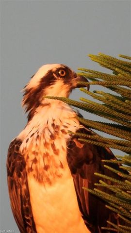 6986 Winkler RD, Fort Myers, FL 33919