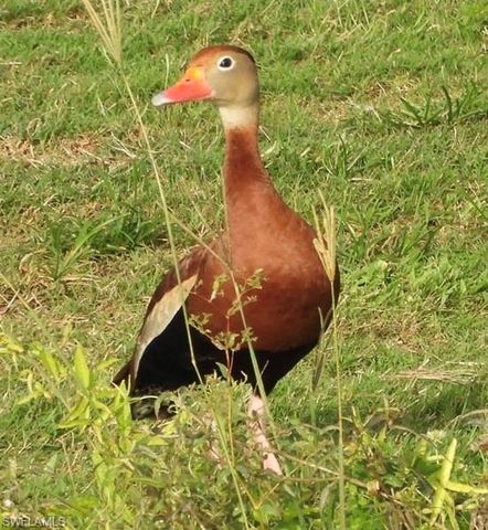 6986 Winkler RD, Fort Myers, FL 33919