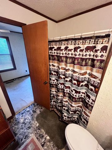 1695 Chicot Trail, Bismarck, AR 71929