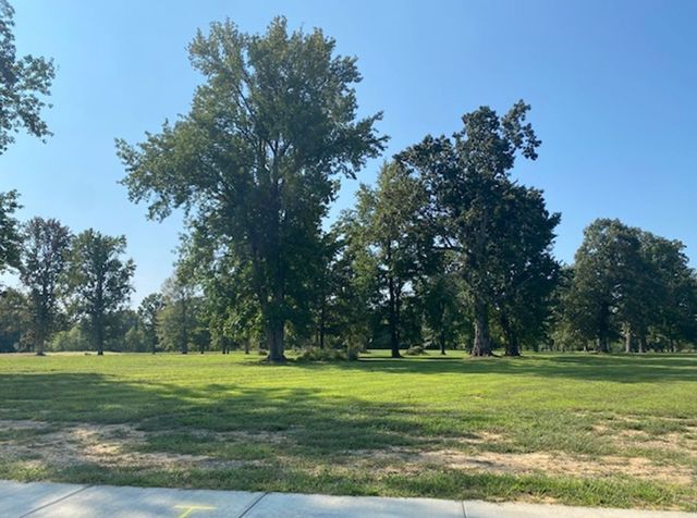 4020 Amelia Lane, White House, TN 37188