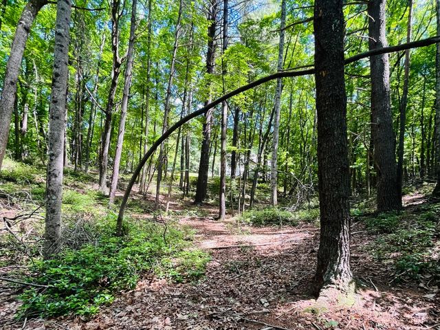 375 Silver Shadow RD, Hardy, VA 24101