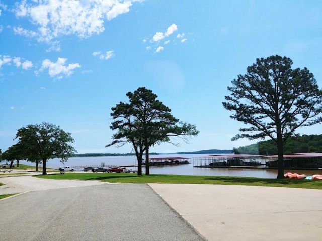 14 Palmilla Court, Gordonville, TX 76245
